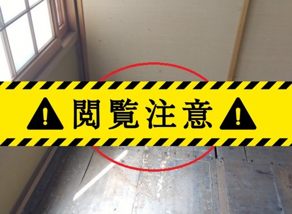 羽アリ？それはシロアリかも