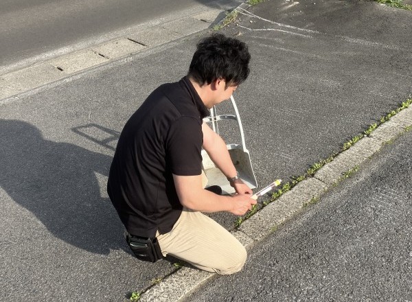 朝の草むしり