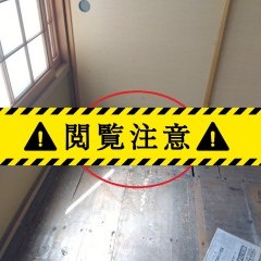 新着ブログ更新！