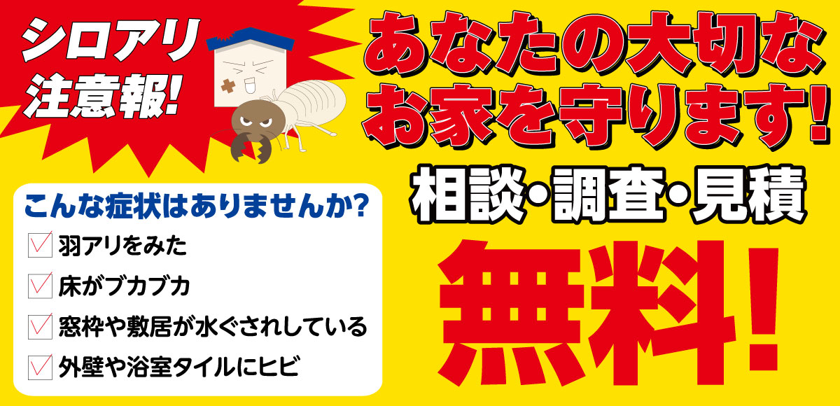 シロアリ相談会