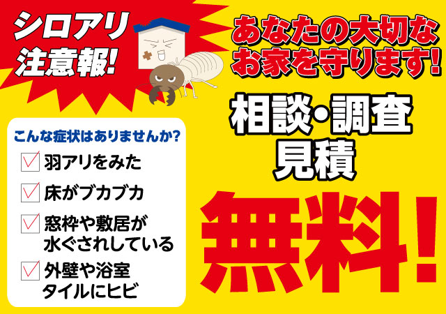 シロアリ相談会