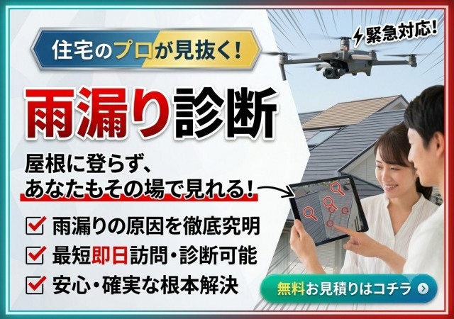 雨漏り診断